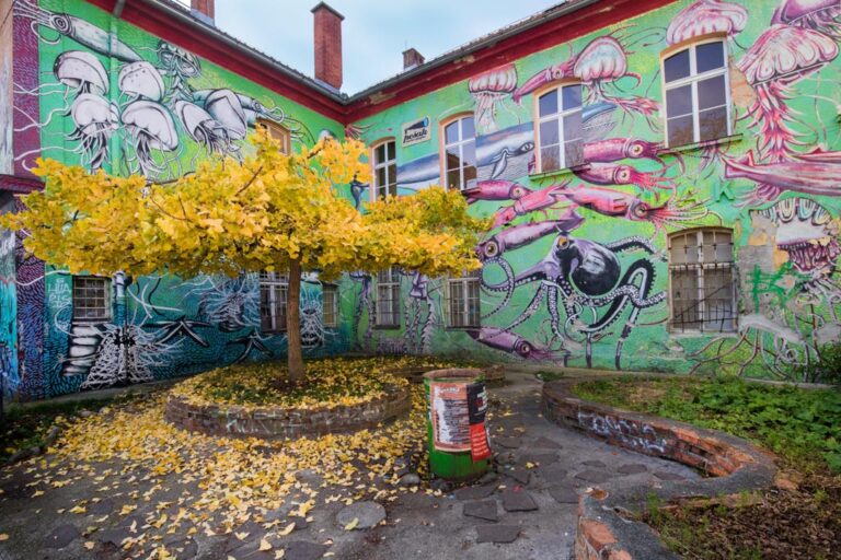 Ljubljana-autonomous-cultural-center-Metelkova-ib-10 Yellow tree at the autonomous cultural center Metelkova. Photo by Iztok Boncina.