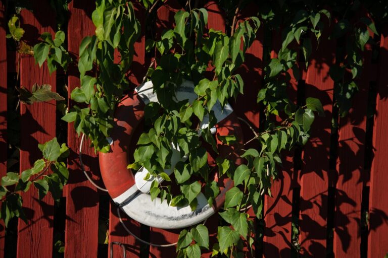 Stockholm-Sweden-Vaxholm-ELJ-007 A lifebuoy is seen amongst green leaves in Vaxholm, Stockholm, Sweden. Photo by Eva-Lotta Jansson