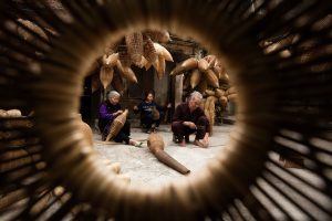 This showcases the Fish Trap Village tour