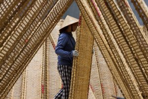 This showcases the Tho Ha Rice Paper Village tour